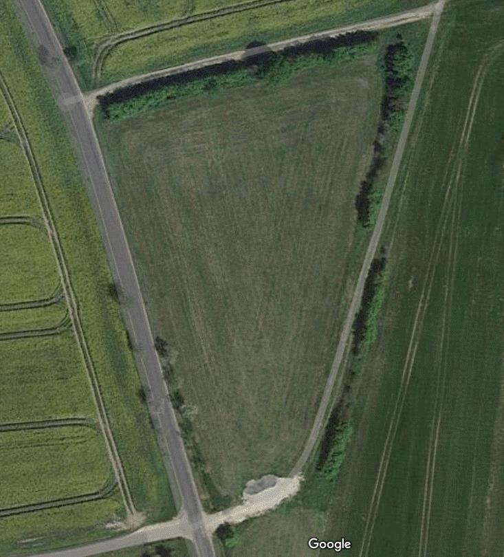 feld.jpg